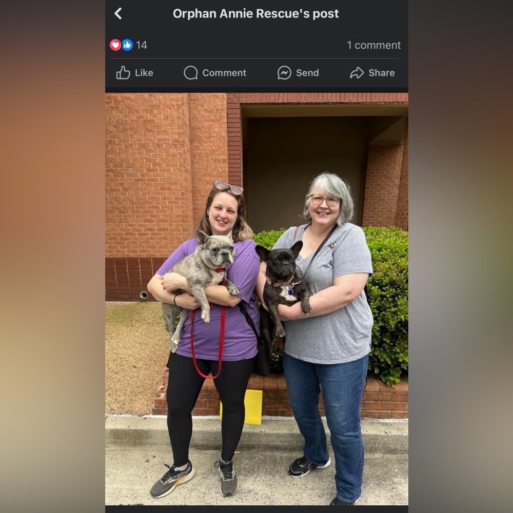 🐾Meet Ella! 🐾 NOT FOR SALE, EVER! - Picture 7 of 15